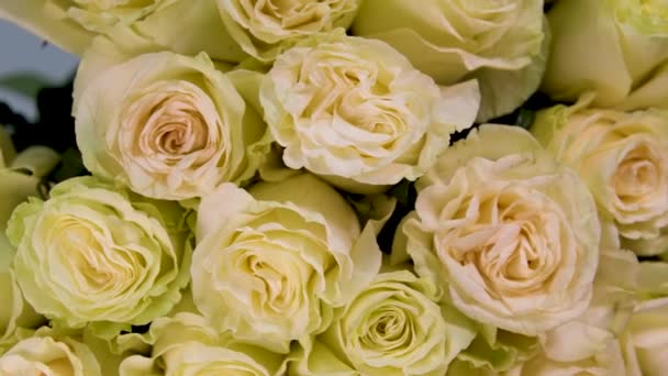 Duży Bukiet Białych Róż Zbliżenie Zbliżenie Bukiet Kwiatów Promieniach Światła — Wideo stockowe
