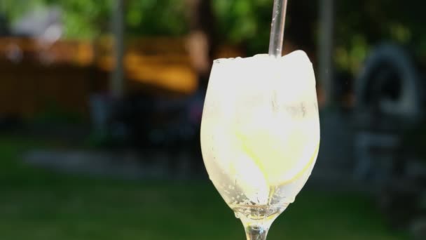 Bubbly Lemon Drink Met Natuurlijk Fruit Glanzend Glas Close Verse — Stockvideo