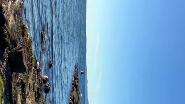 Wall beach, Nanoose Pacific Ocean beach on Vancouver Island a very beautiful combination of nature on the right side coniferous trees on the left side the ocean looks like a lake or the sea. 4k