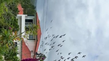 Bir kuş sürüsü, dağlarda kırmızı çatılı sarı özel bir evin üzerinden mavi bulutlu gri gökyüzünün arka planına doğru uçuyor. Yüksek kalite 4k görüntü