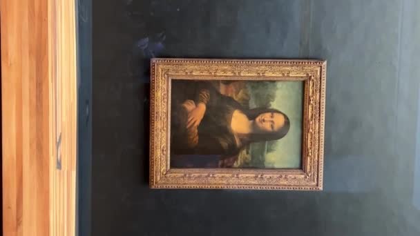 Mona Lisa Painting Louvre High Quality Footage — Stock Video