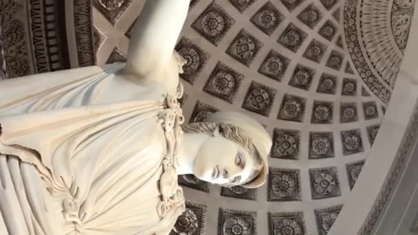 Скульптуры Белого Мрамора Главном Зале Лувра Стоят Рядом Друг Другом — стоковое видео
