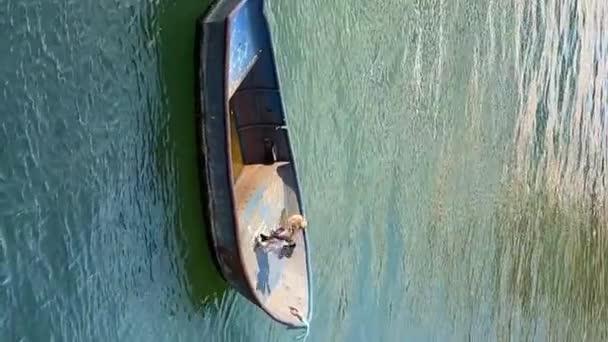 小船和鸭子在河里嬉戏 鸟儿互相迎头赶上 高质量的4K镜头 — 图库视频影像