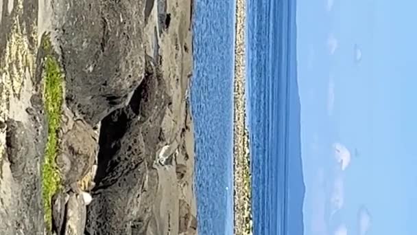 カナダのバンクーバー島の太平洋の干潮は 私の仲間の田舎や桟橋のどこかに見えます — ストック動画