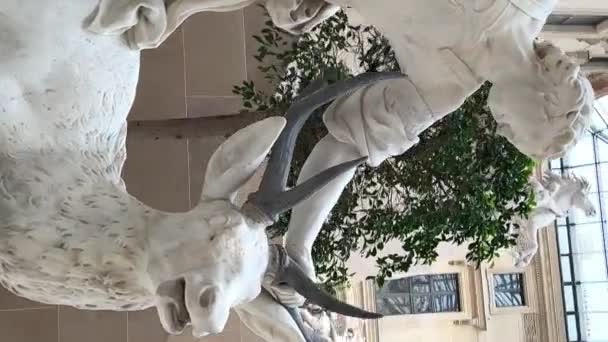 Rzeźba Francja Nicolas Cousteau Lyon 1658 1733 Hunter Zabija Jelenia — Wideo stockowe