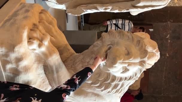 ライオンと本物の女の子の彫刻は 彼らの口の中で指を演奏し 固執するだけでなく 23パリフランスルーブル 高品質4K映像 — ストック動画