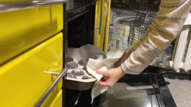 Las Manos Femeninas Amasan Masa Chocolate Para Hacer Galletas Con — Vídeos de Stock