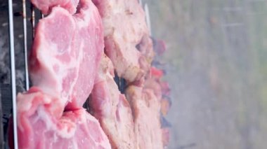 Şiş kebap olarak da bilinen et şiş ızgarada kızartılır. Çelik şiş üzerinde et dilimleri. Lezzetli geleneksel Kafkas et yemeği. Yüksek kalite fotoğraf
