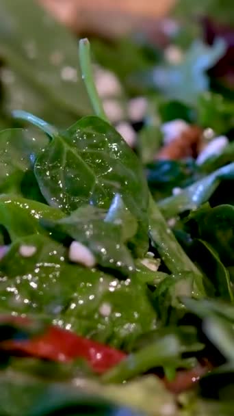 Salat Mit Spinat Und Ziegenkäse Zwiebeln Rote Paprika Holzteller Auf — Stockvideo