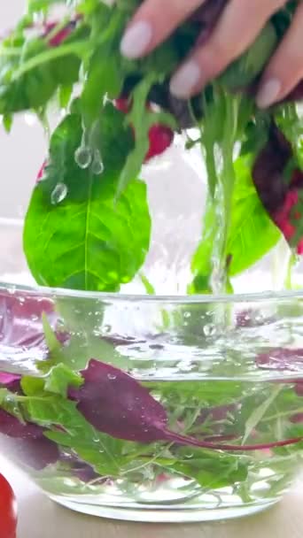 Woman Chef Striped Apron Tearing Freshly Washed Fresh Clean Leaves — Vídeo de Stock