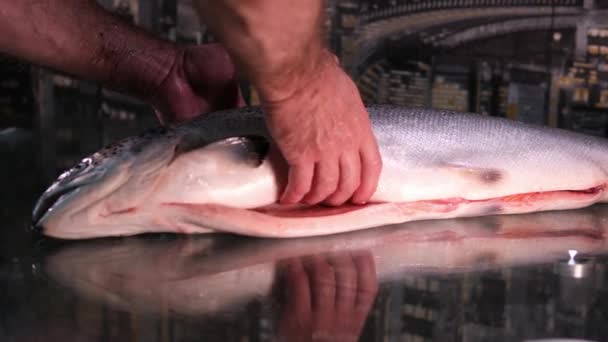 シェフはナイフで新鮮な赤い魚を満たしています ステーキのスローモーションのためのサーモン生肉を調理する 閉じるビュー 高品質の赤魚塩 — ストック動画
