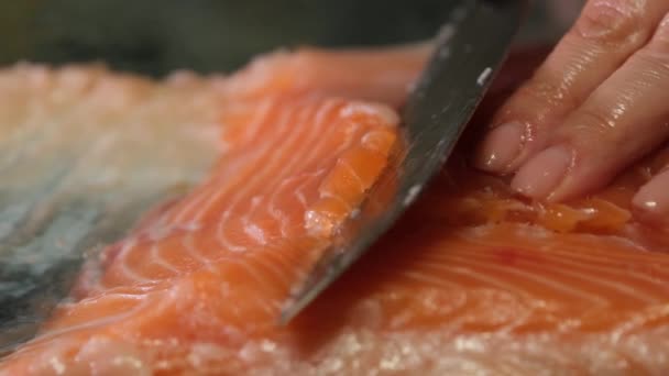 Şef Bir Bıçak Ile Taze Kırmızı Balık Filetosu Keser Yavaş — Stok video