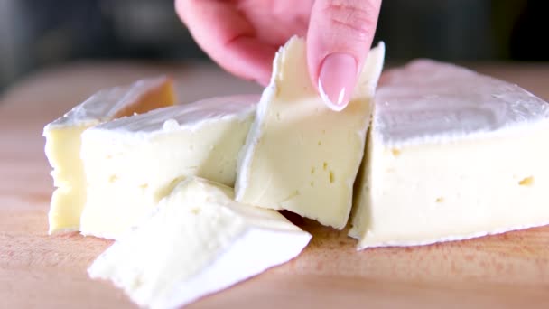 Camembert Formaggio Rotondo Rotazione Cerchio Camembert Formaggio Grigliato Turning Concentrazione — Video Stock