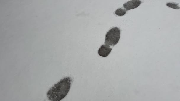 新鮮な足跡 靴のプリント またはシューズマークは 浅い雪が前方または離れて行きます 雪が輝き 冬の太陽に輝いている — ストック動画