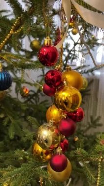 Noel ağacı ve Noel süslemeleri. Dönüşümlü Ortodoks Kilisesi süslenmiş Noel ağacı beyaz bir fiyonk ve adem elması gibi altın kırmızı elmalarla süslenmiş. Efsaneye göre antik çağlarda