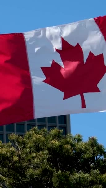 Канадський Прапор Ванкувер Центральна Станція Горизонту Центрі Міста Блакитним Небом — стокове відео
