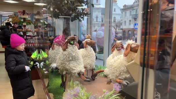 ヴィンテッサ ウクライナ 2024 ローゼン スイーツ店 装飾販売 キャッシュレジ キャンディーのロゴ 子羊を展示している人たちです キャンディ — ストック動画