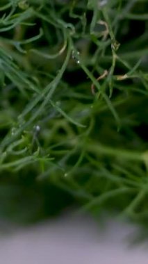 Şef taze sulu dereotu ahşap kesme tahtasıyla mutfak bıçağıyla ince ince doğradı. Yakın plan. Yüksek kalite 4k görüntü