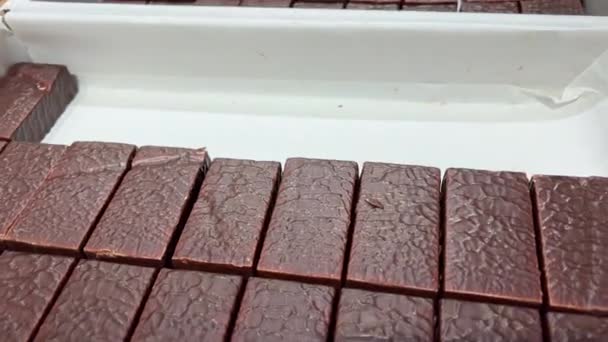 チョコレート生産のための生産ライン チョコレートで覆われたキャンディー スイーツはコンベヤーに沿って移動します パノラマ チョコレートの良質のパスタ — ストック動画