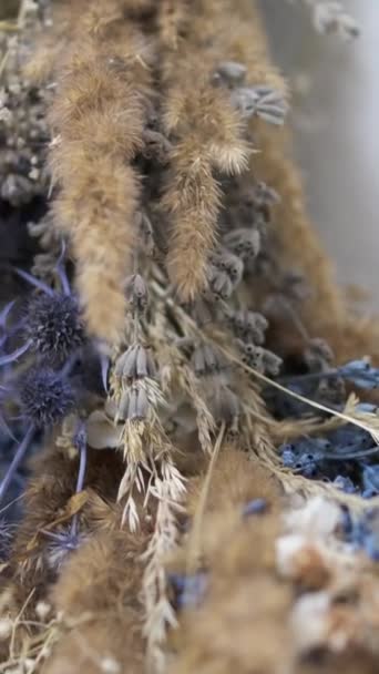 Мак Шипы Пшеницы Преобладание Синих Сушеных Трав Красивом Украшении Стене — стоковое видео