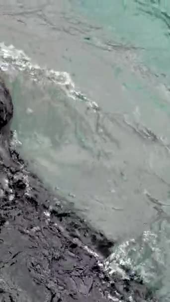 Três Lontras Marinhas Lutam Por Comida Águas Claras Aquário Engraçado — Vídeo de Stock