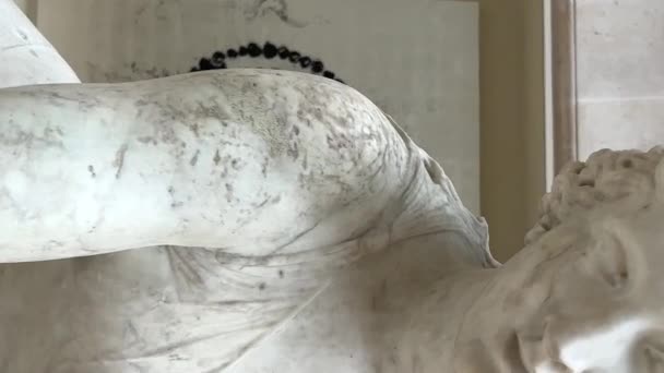 Statue Einer Frau Mit Nackter Brust Louvre Paris Frankreich Hochwertiges — Stockvideo