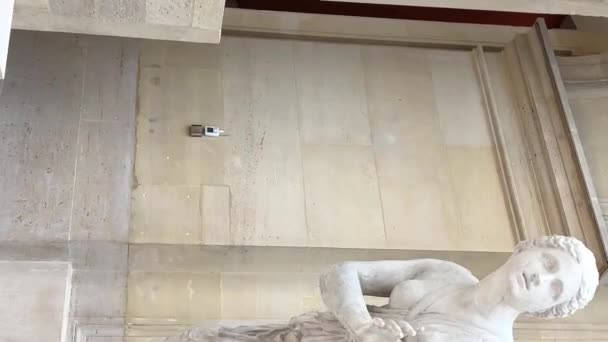 Sculpture France Guillaume Custot Lyon Hippomene Chateau Marly Carpe Pool — Stock Video