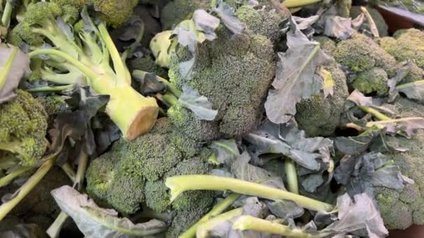 Świeże Brokuły Jako Bezszwowe Pętelkowe Warzywa Owoce Ladzie Supermarkecie Lub — Wideo stockowe
