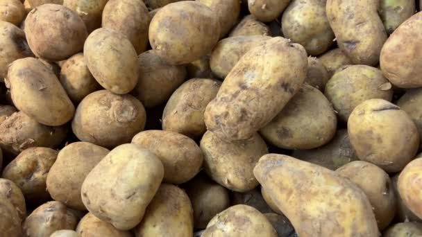 Zbliżenie Ziemniaków Skórkach Gramofonie Warzywa Owoce Ziemniaków Naturalnych Ladzie Supermarkecie — Wideo stockowe