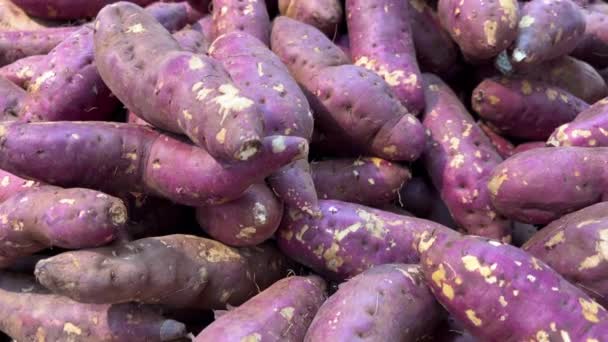 スイートジャガイモは 熱い蒸した調理された映像遅い動きです ベトナムのスーパーマーケットや市場のカウンターの野菜や果物 高品質の4K映像 — ストック動画
