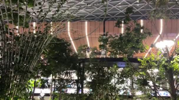 在卡塔尔多哈哈马德国际机场内有热带植物的卡塔尔多哈花园02 2024高质量的4K镜头 — 图库视频影像