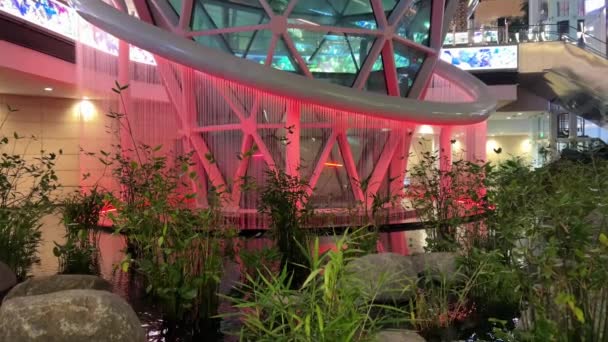 Doha Katar Garten Mit Tropischen Pflanzen Hamad International Airport Doha — Stockvideo