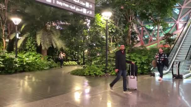 Doha Katar Kert Trópusi Növényekkel Hamad Nemzetközi Repülőtéren Dohában Katarban — Stock videók