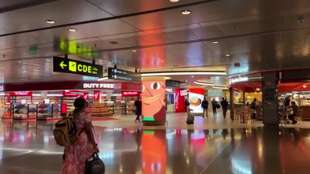 Departure Hall Hamad International Airport Doha Qatar Night Showing Qatar — Stock Video