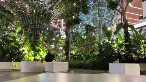 在卡塔尔多哈哈马德国际机场内有热带植物的卡塔尔多哈花园02 2024高质量的4K镜头 — 图库视频影像