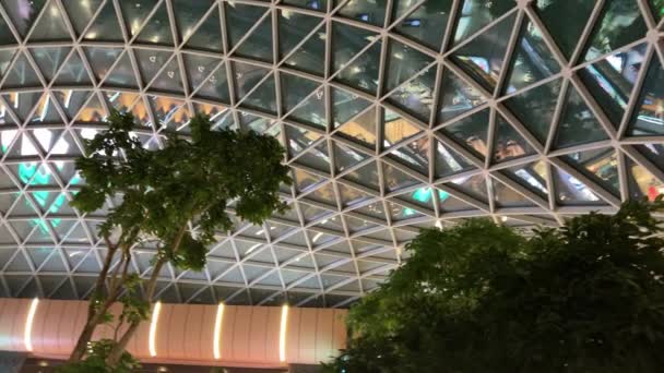 Doha Qatar Trädgård Med Tropiska Växter Inne Hamads Internationella Flygplats — Stockvideo
