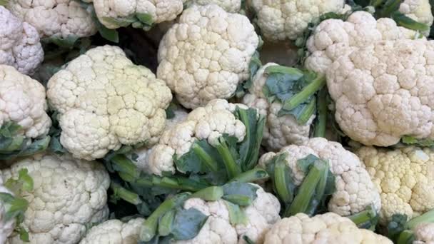 农民市场的纸板箱里有新鲜收获的花椰菜 白菜健康饮食 有机蔬菜行业健康的生活方式和饮食的概念 高质量的 — 图库视频影像