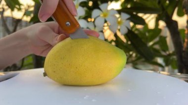 Olgun, sulu, tatlı mangoyu tek parça halinde kes ve ahşap arka planda yarım dönüş yap. Yaz tropik meyveleri, sağlıklı yiyecekler, mango suyu, organik mango. 4K görüntüler. Yüksek kalite 