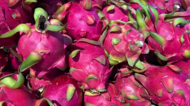 Dragon Fruit Koop Bij Open Markt Honolulu Het Eiland Oahu — Stockvideo