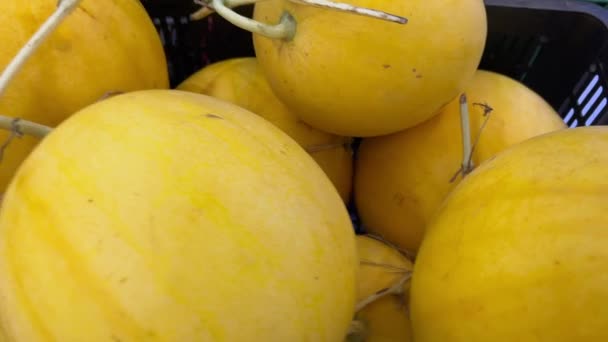 Melonen Auf Einem Bauernmarkt Indien Streetfood Gesund Und Erfrischend Hochwertiges — Stockvideo