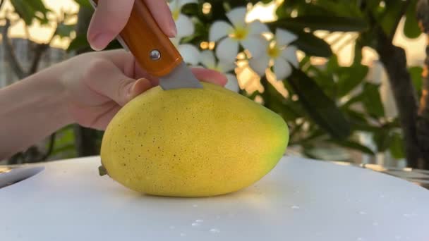 ジューシーな甘いマンゴー全体をパイプし 木製の背景のクローズアップで半分回転します 夏の熱帯果物 健康的な食べ物 マンゴー ジュース 有機マンゴー 4K映像について 高品質で — ストック動画