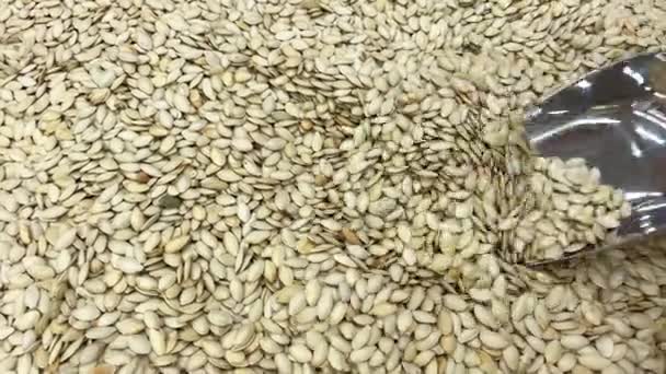 Mano Del Agricultor Mientras Toca Granos Cosechados Semillas Trigo Ingredientes — Vídeos de Stock