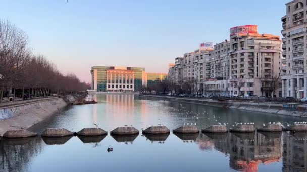罗马尼亚国家图书馆对Dambovita河的反思 — 图库视频影像