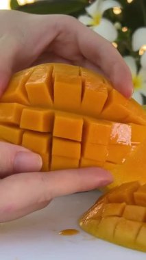 Kırmızı mangoyu elinde tutan kadın beyaz arka planda izole bir şekilde yakın planda parçalara ayrılmış. Yüksek kaliteli FullHD görüntüler