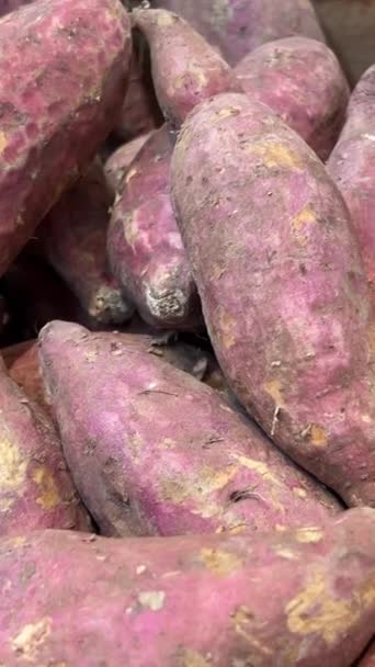 Afsluiting Van Verse Oogst Zoete Aardappelen Groenten Fruit Toonbank Een — Stockvideo