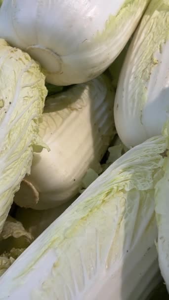 Chinese Cabbage Thailand Market Its Fresh Farm Thailand Chinese Cabbage — Stok Video