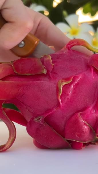 Tăierea Fructului Dragon Sau Pitaya Fruct Exotic Din Thailanda Înregistrare — Videoclip de stoc