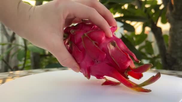 Dračí Ovoce Tropické Ovoce Zdravé Dračí Ovoce Pitaya Rozdělila Dvě — Stock video