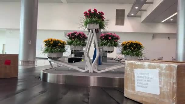 Lugar Del Aeropuerto Para Recoger Equipaje Que Espera Gente Vida — Vídeos de Stock