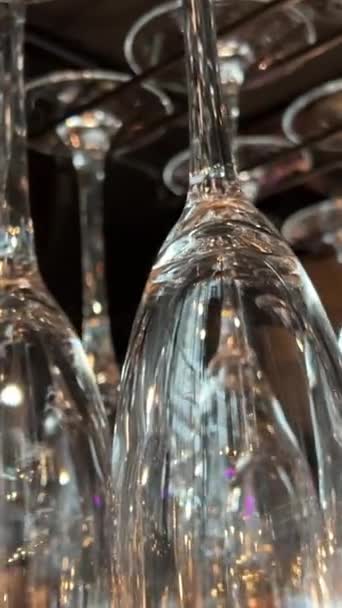 Camera Tilt Neatly Arranged Wine Drink Glasses Formal Event Shot — Stock Video